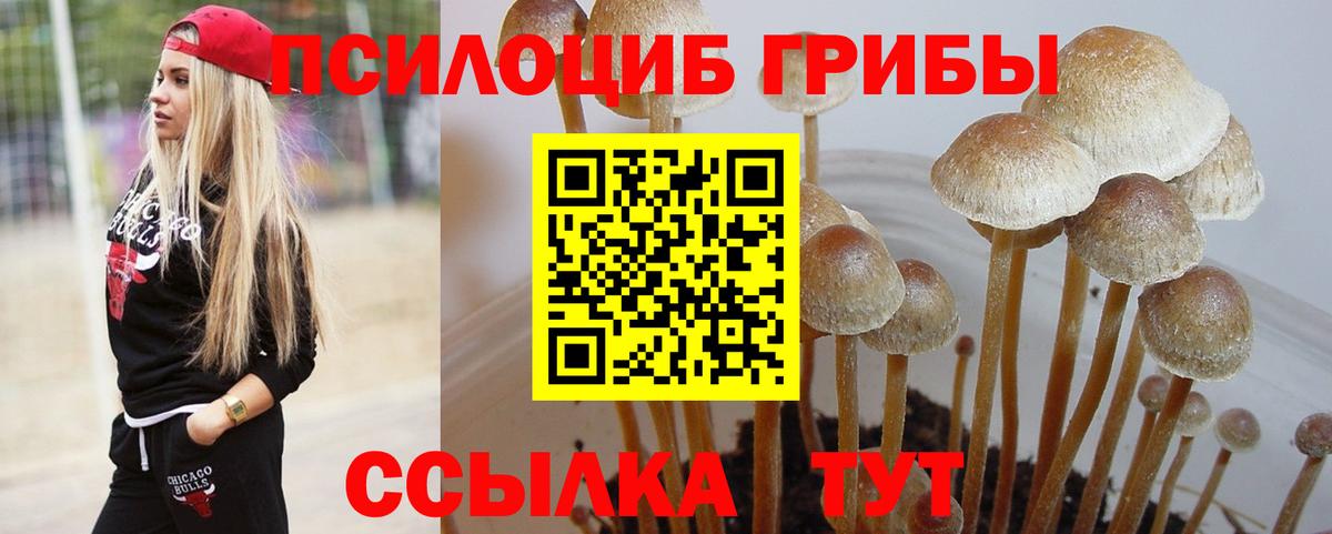 Псилоцибиновые грибы Psilocybine cubensis  Вход с VPN  Галлюциногенные грибы мухоморы  Орехово-Зуево 