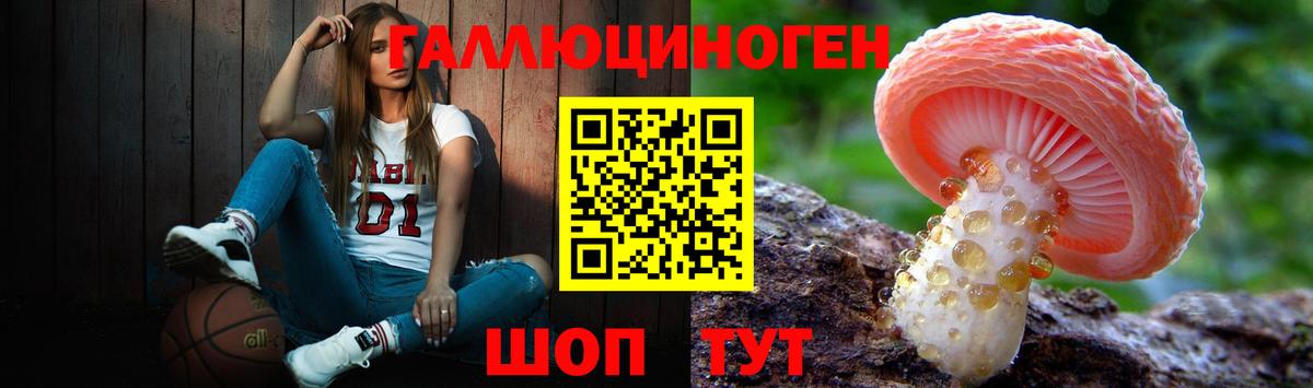 Псилоцибиновые грибы мухоморы Орехово-Зуево